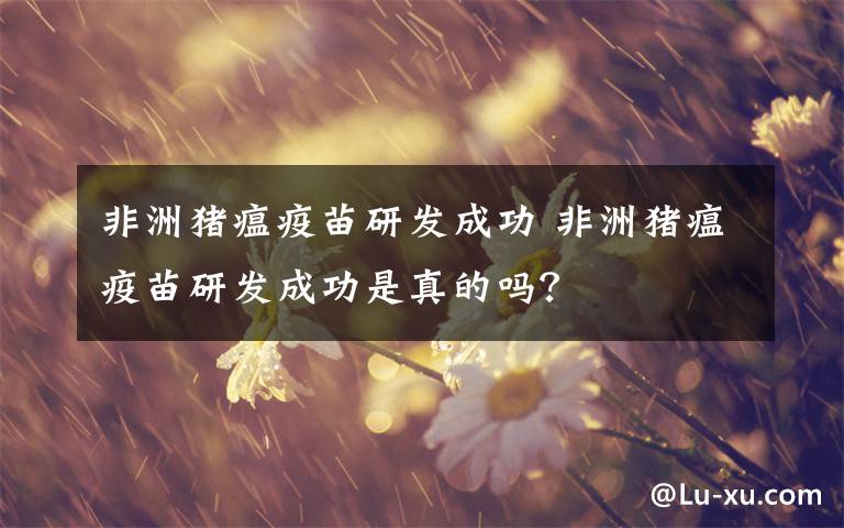 非洲猪瘟疫苗研发成功 非洲猪瘟疫苗研发成功是真的吗?