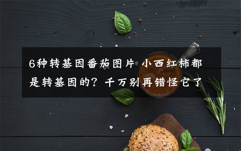 6种转基因番茄图片 小西红柿都是转基因的?千万别再错怪它了!