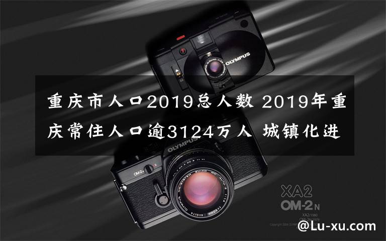 重庆市人口2019总人数 2019年重庆常住人口逾3124万人 城镇化进程持续推进