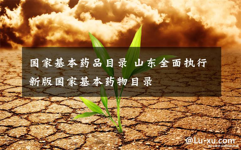 国家基本药品目录 山东全面执行新版国家基本药物目录