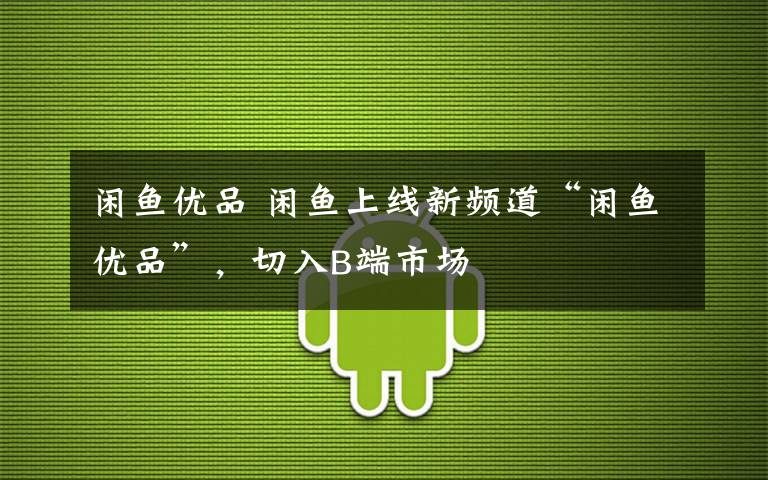 闲鱼优品 闲鱼上线新频道“闲鱼优品”,切入B端市场