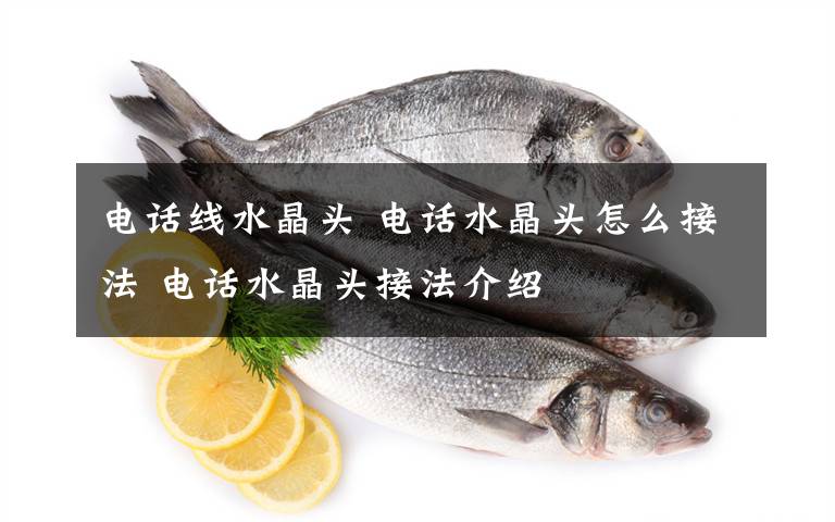 电话线水晶头 电话水晶头怎么接法 电话水晶头接法介绍