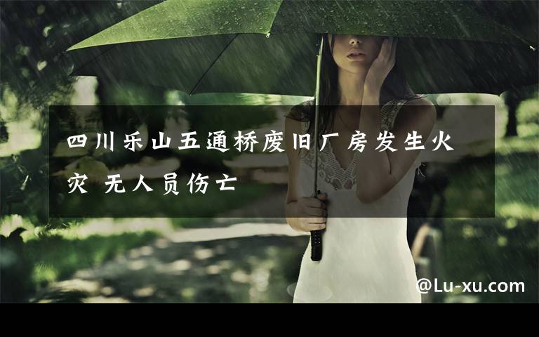 四川乐山五通桥废旧厂房发生火灾 无人员伤亡