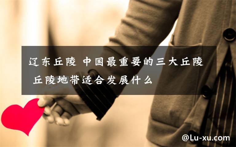 辽东丘陵 中国最重要的三大丘陵 丘陵地带适合发展什么