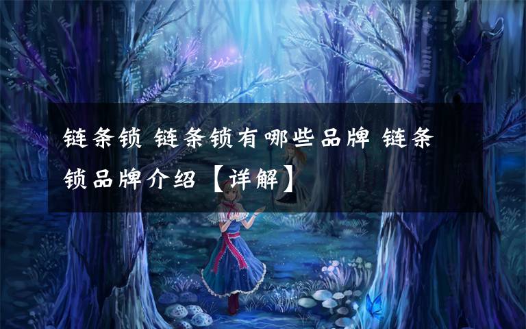 链条锁 链条锁有哪些品牌 链条锁品牌介绍【详解】