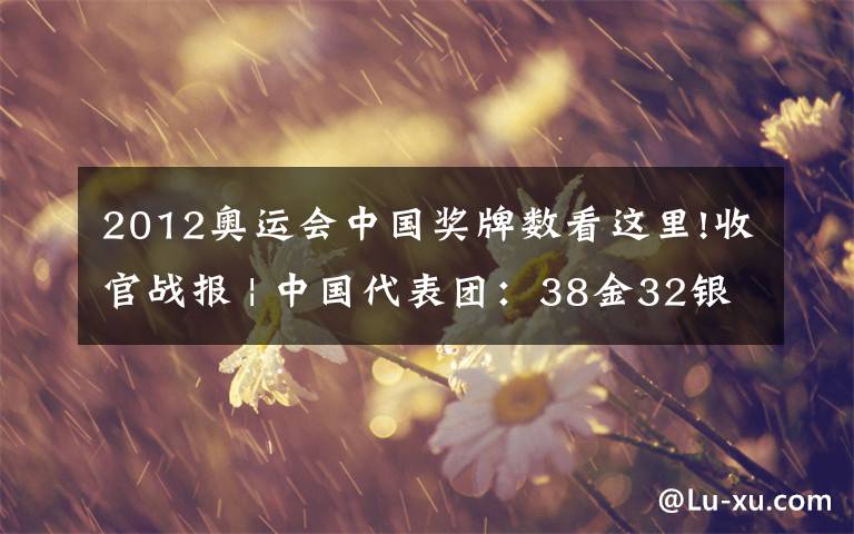 2012奥运会中国奖牌数看这里!收官战报 | 中国代表团:38金32银18铜