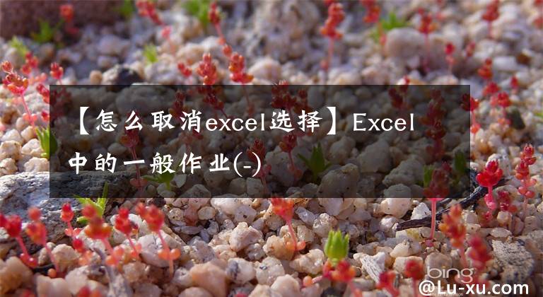 【怎么取消excel选择】Excel中的一般作业(-)