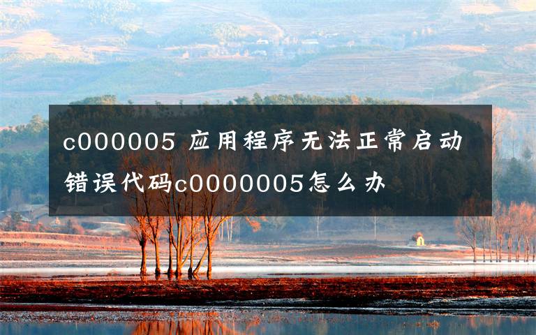 c000005 应用程序无法正常启动错误代码c0000005怎么办