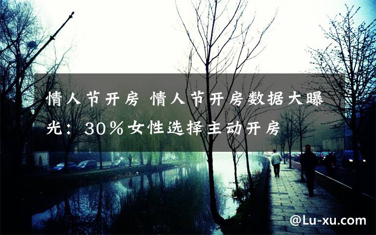 情人节开房 情人节开房数据大曝光:30%女性选择主动开房