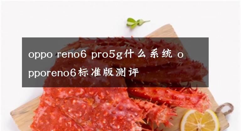 oppo reno6 pro5g什么系统 opporeno6标准版测评