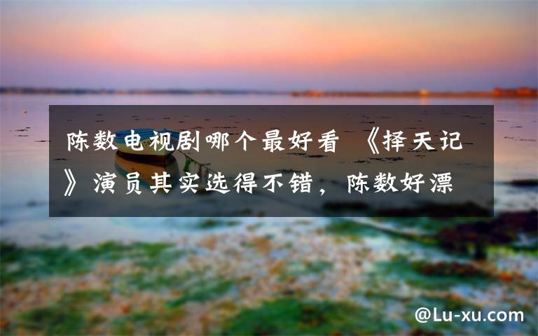 陈数电视剧哪个最好看 《择天记》演员其实选得不错,陈数好漂亮,但看30分钟决定弃剧