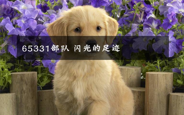 65331部队 闪光的足迹