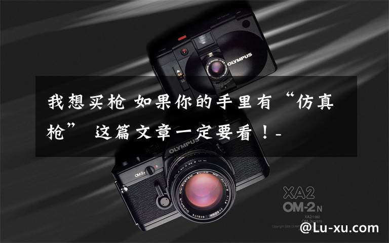 我想买枪 如果你的手里有“仿真枪” 这篇文章一定要看!-