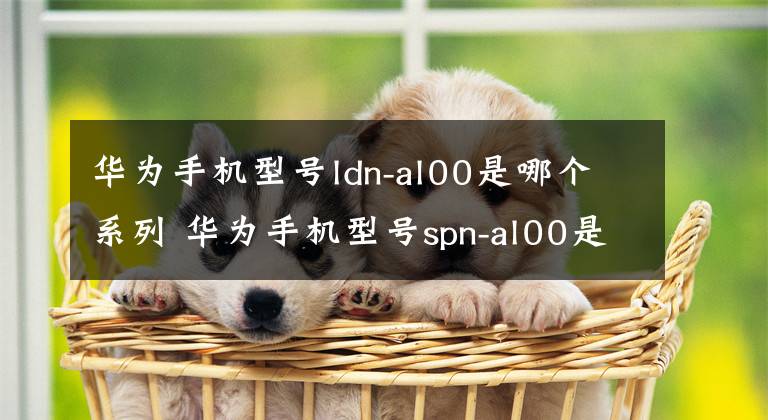华为手机型号ldn-al00是哪个系列 华为手机型号spn-al00是什么手机
