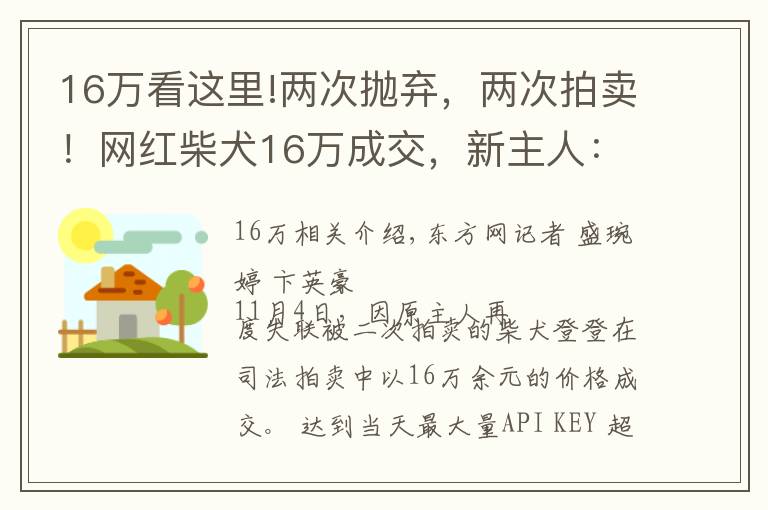 16万看这里!两次抛弃,两次拍卖!网红柴犬16万成交,新主人:任何条件都不会交还