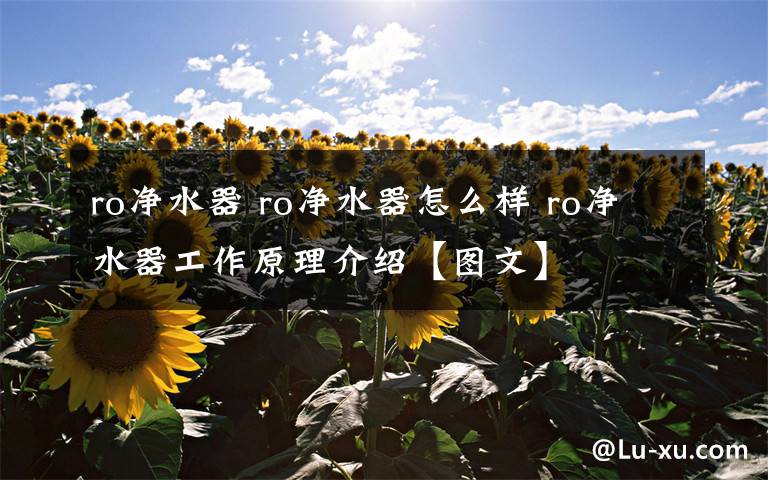 ro净水器 ro净水器怎么样 ro净水器工作原理介绍【图文】