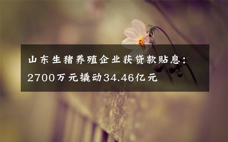 山东生猪养殖企业获贷款贴息:2700万元撬动34.46亿元