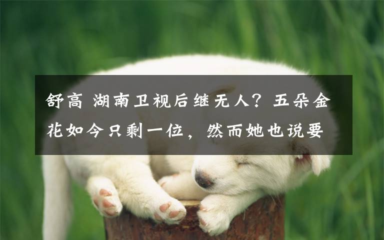 舒高 湖南卫视后继无人?五朵金花如今只剩一位,然而她也说要走