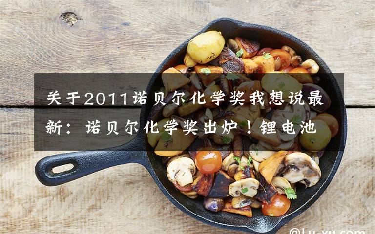 关于2011诺贝尔化学奖我想说最新:诺贝尔化学奖出炉!锂电池发明者获奖