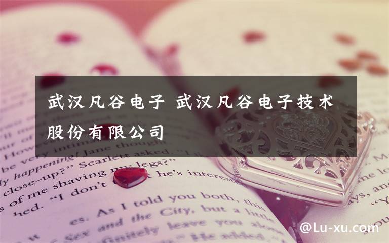 武汉凡谷电子 武汉凡谷电子技术股份有限公司