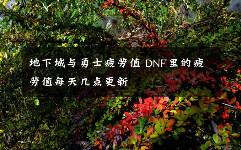 地下城与勇士疲劳值 DNF里的疲劳值每天几点更新
