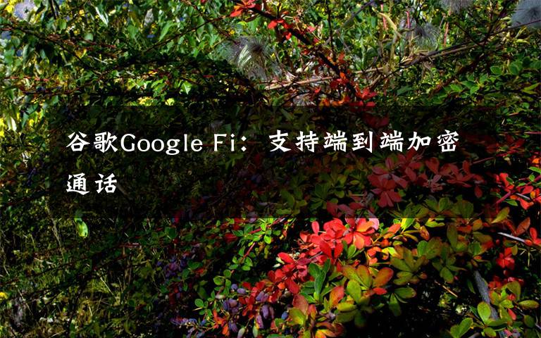 谷歌Google Fi:支持端到端加密通话