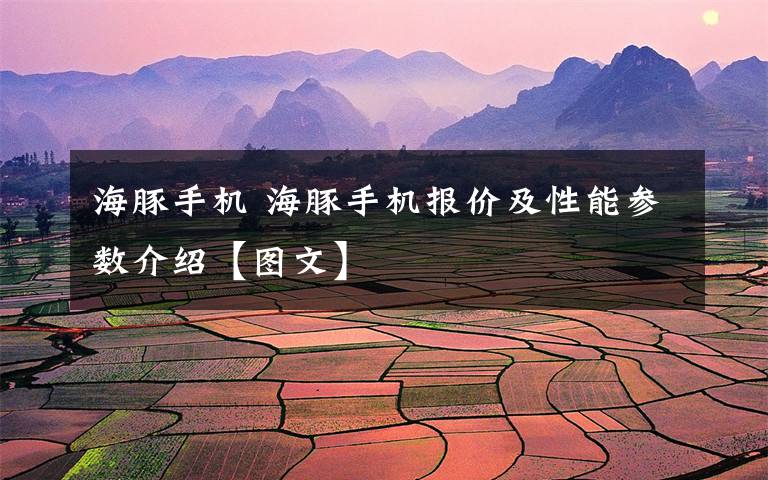 海豚手机 海豚手机报价及性能参数介绍【图文】