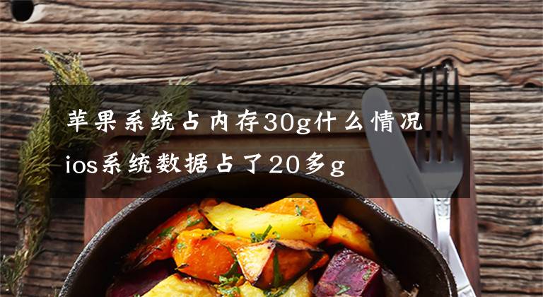 苹果系统占内存30g什么情况 ios系统数据占了20多g
