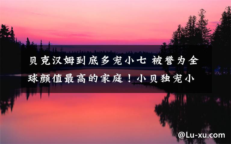 贝克汉姆到底多宠小七 被誉为全球颜值最高的家庭!小贝独宠小七