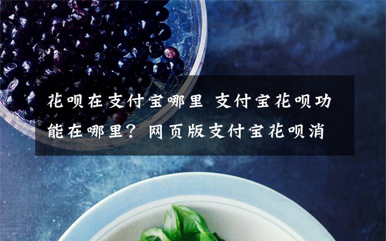 花呗在支付宝哪里 支付宝花呗功能在哪里?网页版支付宝花呗消费额度怎么看?