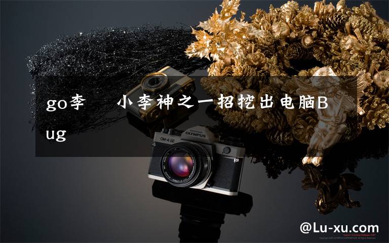 go李喆 小李神之一招挖出电脑Bug