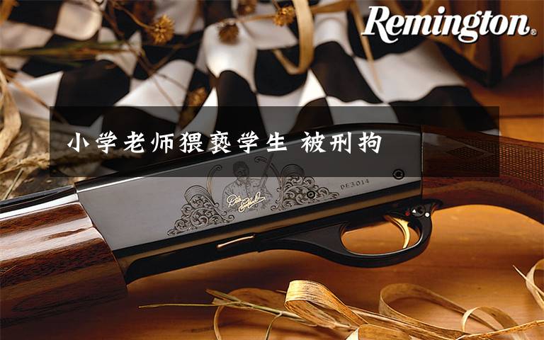小学老师猥亵学生 被刑拘