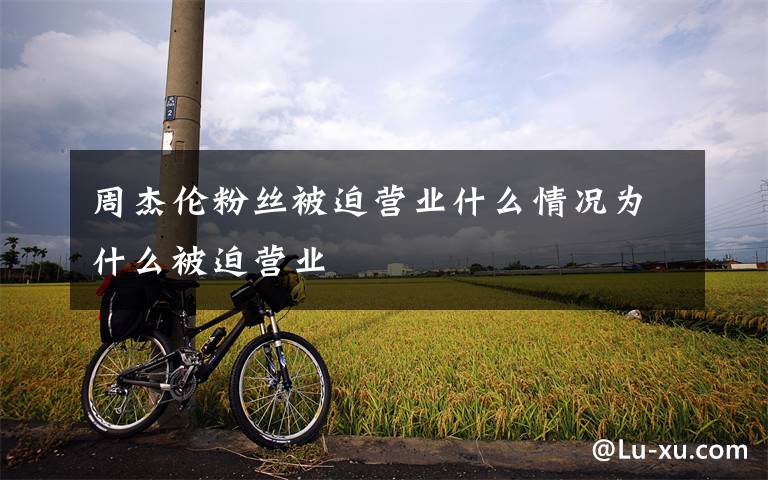 周杰伦粉丝被迫营业什么情况为什么被迫营业