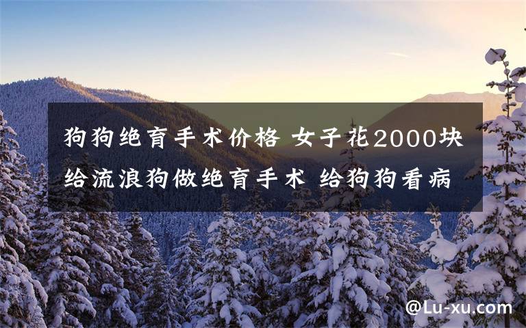 狗狗绝育手术价格 女子花2000块给流浪狗做绝育手术 给狗狗看病也有玄机