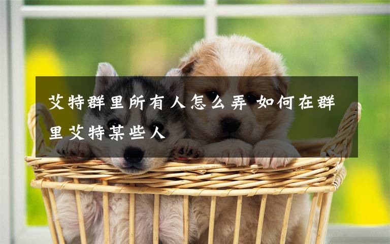 艾特群里所有人怎么弄 如何在群里艾特某些人