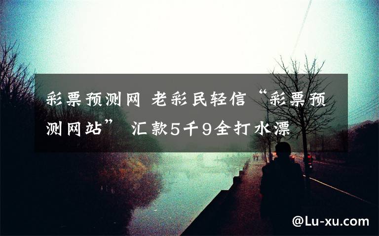 彩票预测网 老彩民轻信“彩票预测网站” 汇款5千9全打水漂