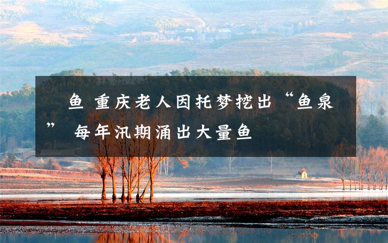 鮈鱼 重庆老人因托梦挖出“鱼泉” 每年汛期涌出大量鱼