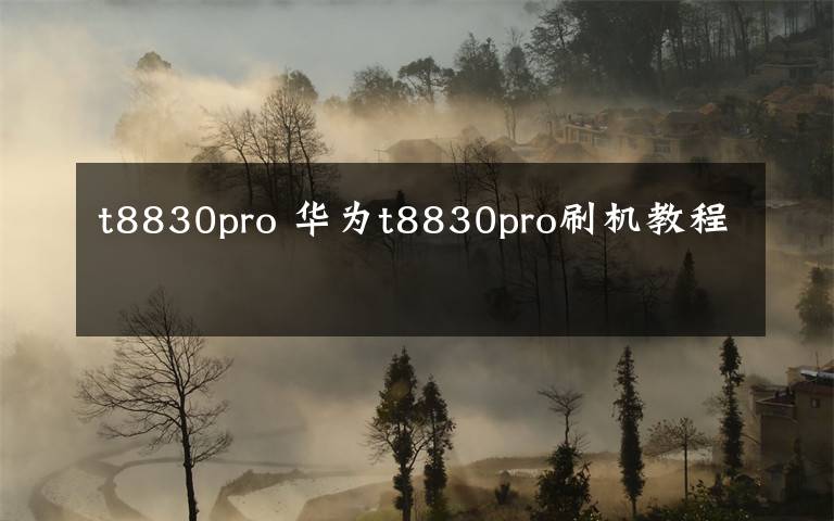 t8830pro 华为t8830pro刷机教程