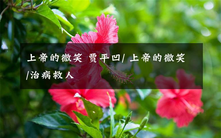 上帝的微笑 贾平凹/ 上帝的微笑/治病救人