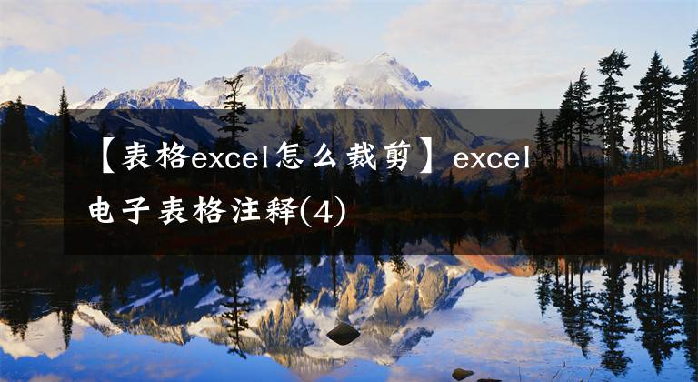 【表格excel怎么裁剪】excel电子表格注释(4)