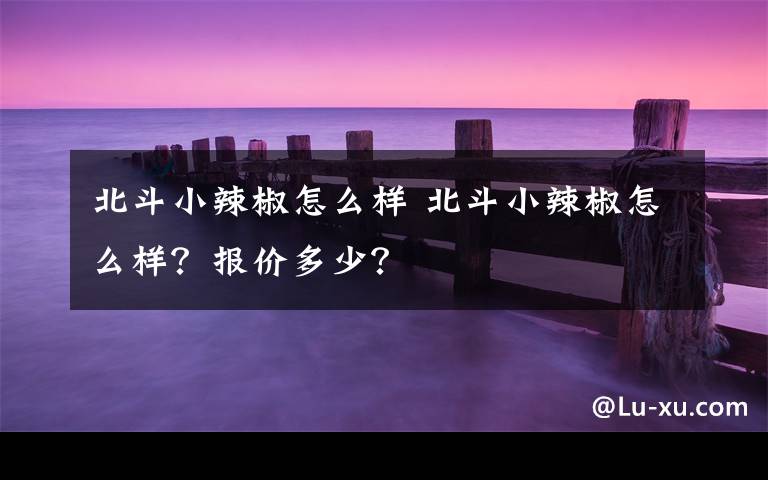 北斗小辣椒怎么样 北斗小辣椒怎么样?报价多少?