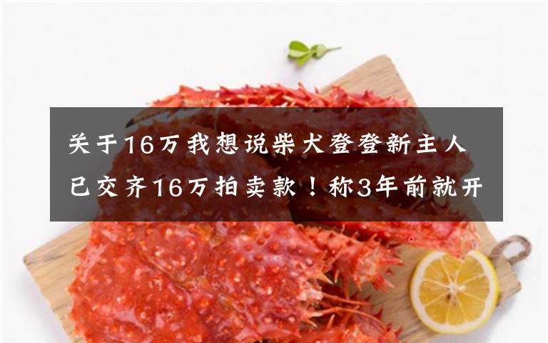 关于16万我想说柴犬登登新主人已交齐16万拍卖款!称3年前就开始关注它