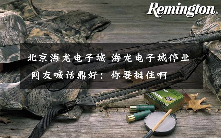 北京海龙电子城 海龙电子城停业 网友喊话鼎好：你要挺住啊