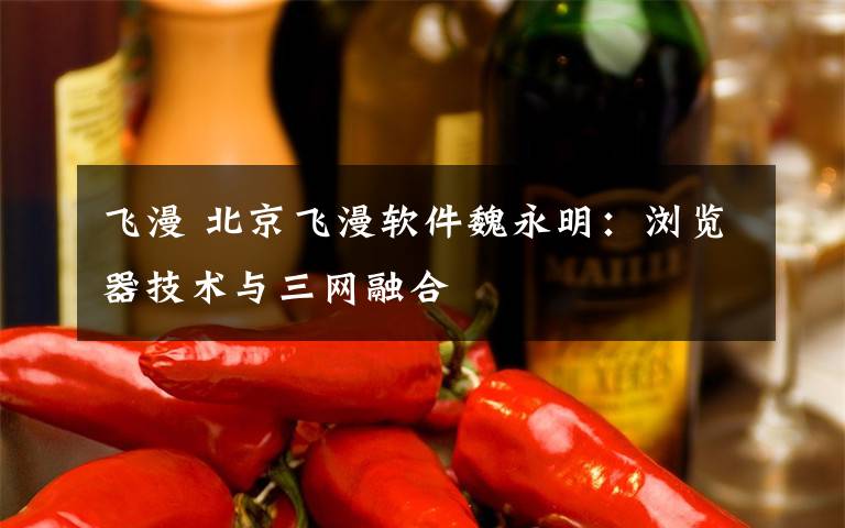 飞漫 北京飞漫软件魏永明:浏览器技术与三网融合