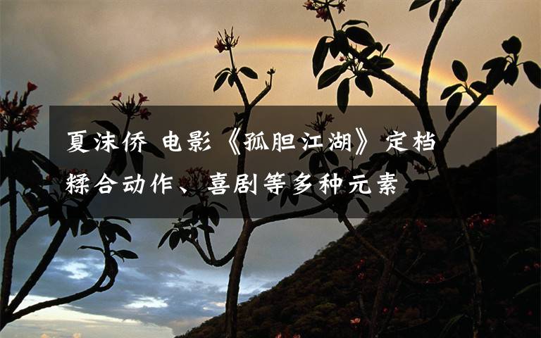 夏沫侨 电影《孤胆江湖》定档 糅合动作、喜剧等多种元素