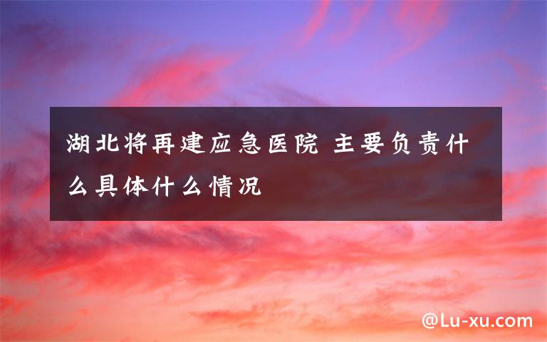 湖北将再建应急医院 主要负责什么具体什么情况