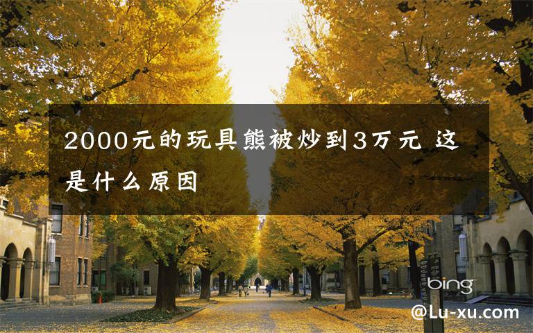 2000元的玩具熊被炒到3万元 这是什么原因