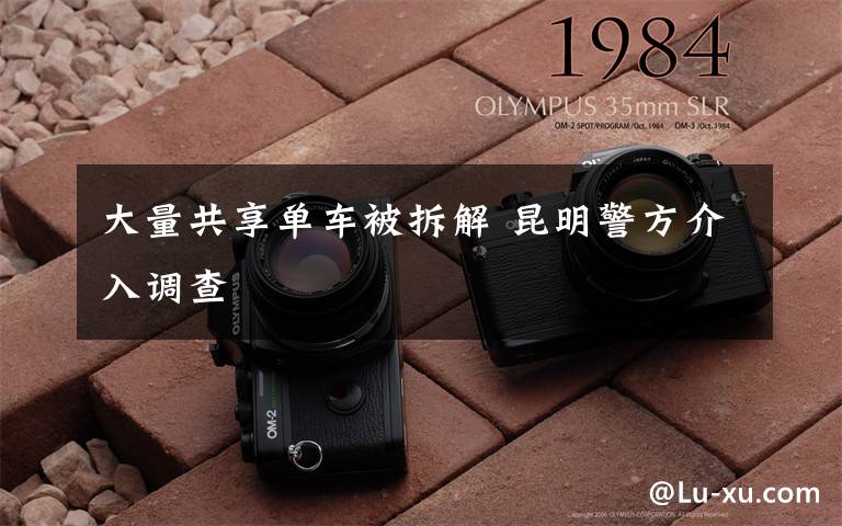 大量共享单车被拆解 昆明警方介入调查