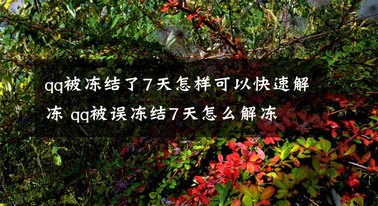 qq被冻结了7天怎样可以快速解冻 qq被误冻结7天怎么解冻