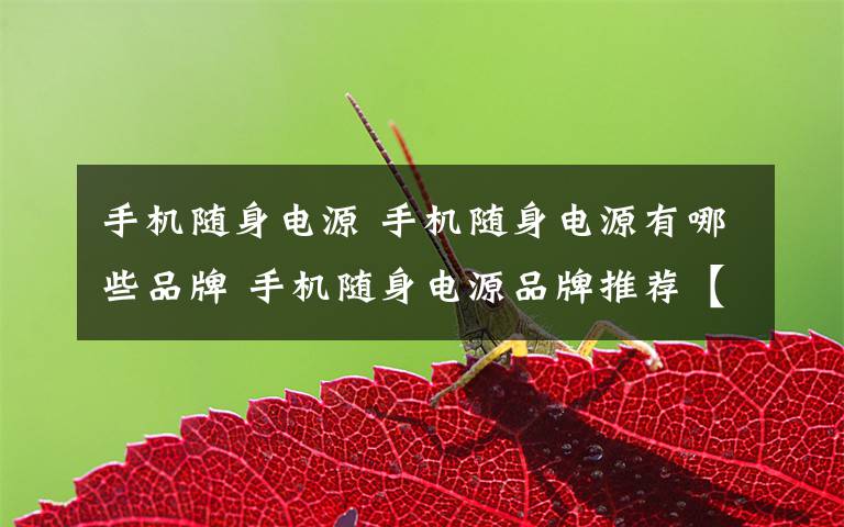 手机随身电源 手机随身电源有哪些品牌 手机随身电源品牌推荐【详解】